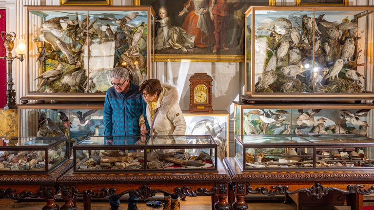 Couple looking at case of shells in the Saloon surrounded by taxidermy
